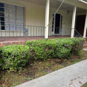 Bush Trimming by Yard Dr. LLC reviewed on November 5, 2025