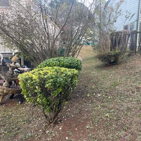 Bush Trimming by Patriot’s Property Services LLC reviewed on October 21, 2025