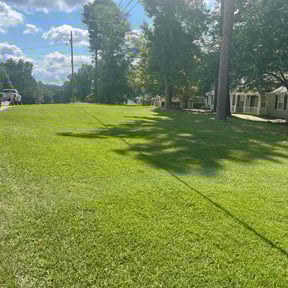 yard care by Willie Lawn Care and More LLC reviewed on November 18, 2025