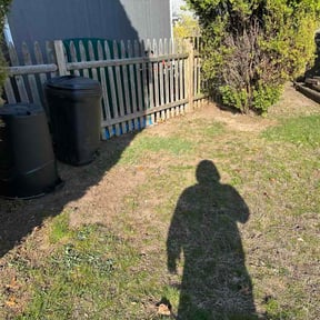 Leaf Removal by Manuel landscaping reviewed on June 26, 2026