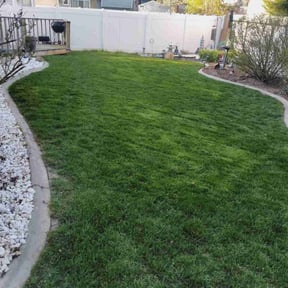 yard service by Jones Cleanup Removals and Rentals reviewed on August 15, 2025