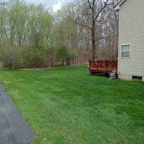 landscape maintenance by Pedrito’s lawn service llc reviewed on December 4, 2025