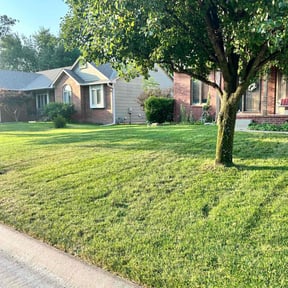 lawn service by RD lawn service reviewed on August 19, 2025