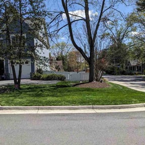 yard work by AP Landscapers reviewed on November 19, 2025