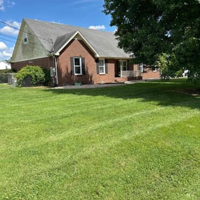 yard care by Robinson lawn care reviewed on August 18, 2025