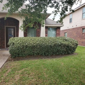 Bush Trimming by Trip reviewed on August 17, 2025