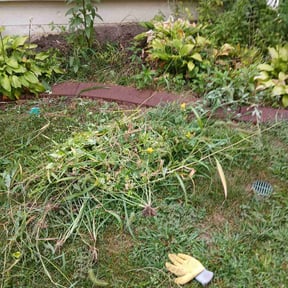 Flower Bed Weeding by Bakers lawn service reviewed on September 20, 2021