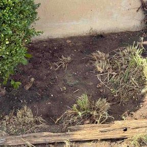 Flower Bed Weeding by zen gardens by Trevor reviewed on July 6, 2026