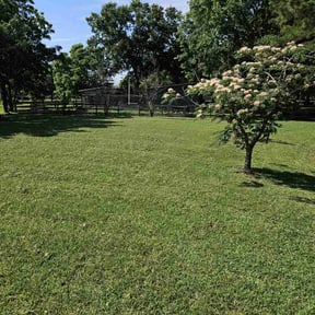 yard care by Jordan's Lawn Service reviewed on August 18, 2025