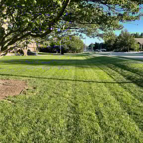 yard work by N.W.M reviewed on December 10, 2025