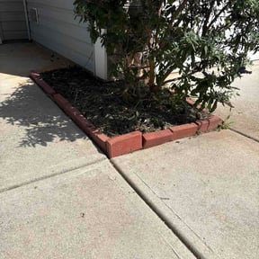 Flower Bed Weeding by Blooming SEEDZ reviewed on August 15, 2026