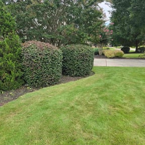 Bush Trimming by J.Barry Lawncare reviewed on October 20, 2025