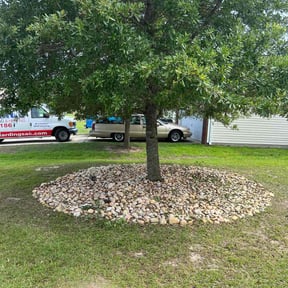 Bush Trimming by A Diversified Lawn Services reviewed on March 22, 2024