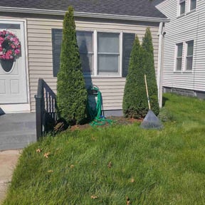 Bush Trimming by Spartanturf@yahoo.com reviewed on May 12, 2026