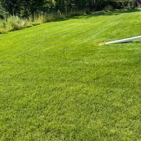 landscaping by Anytime Solutions LLC reviewed on August 15, 2025
