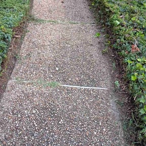 Bush Trimming by Helping Hands reviewed on June 6, 2021