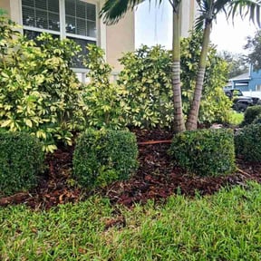 Bush Trimming by Pure Climate LLC reviewed on August 14, 2025