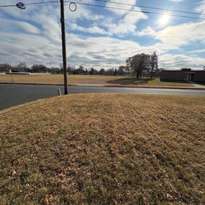 Leaf Removal by Shaw Bennett Contractor reviewed on October 18, 2025