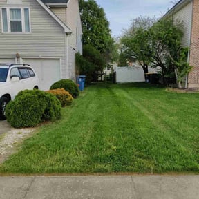 Long Grass Cleanup by Cornerstone landscape & design reviewed on August 18, 2025