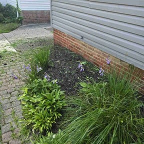 Flower Bed Weeding by Christopher Clark reviewed on August 15, 2025