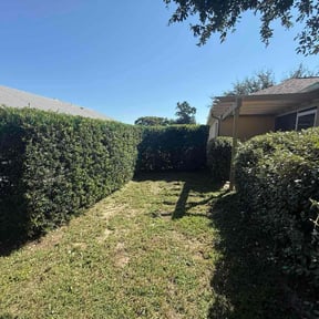 Bush Trimming by Wolverine Lawncare reviewed on November 21, 2025