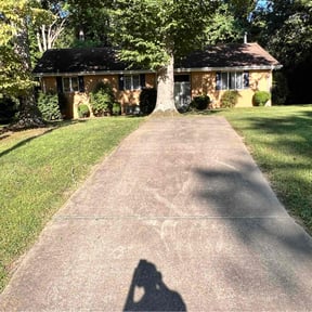 landscaping services by Cut reviewed on November 20, 2025