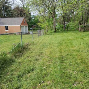 lawn care by D&amp;R  Landscaping/Junkrremoval reviewed on December 18, 2023