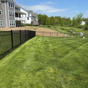 yard care by The guy property maintenance reviewed on April 4, 2022