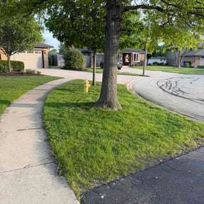 Bush Trimming by K &amp; D Lawn Services reviewed on May 21, 2026