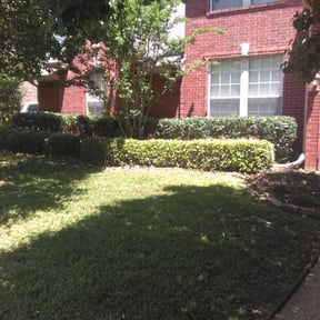 Bush Trimming by FRIENDLY KIND AND CARING CLEANIG SERVICE LLC reviewed on August 15, 2025