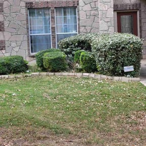 Bush Trimming by Westveld Mowing reviewed on August 15, 2025
