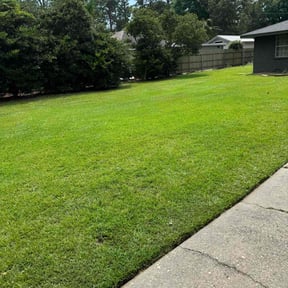 lawn care services by Rickys lawn care reviewed on August 21, 2025