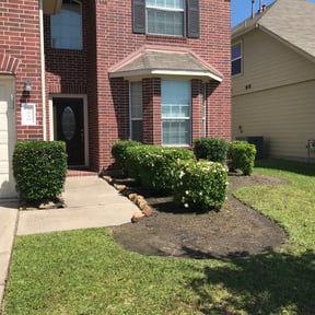 Bush Trimming by Pioneer Lawn Care reviewed on August 15, 2025