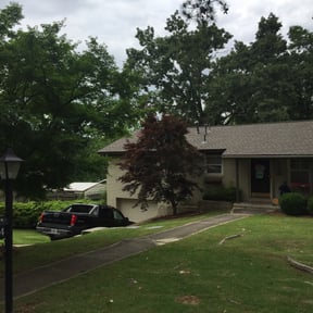 Bush Trimming by The guy property maintenance reviewed on October 4, 2023