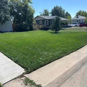 Bush Trimming by Annex Real Estate LLC reviewed on June 11, 2022