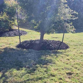 Mulching by Golden Lion's reviewed on October 21, 2025