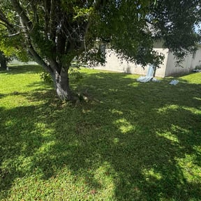 yard care by Kelly Lawn Care reviewed on August 14, 2025