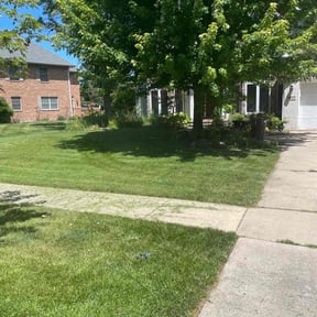 lawn care by Focus Landscaping reviewed on December 3, 2023