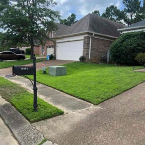 Lawn Mowing by  reviewed on October 27, 2025