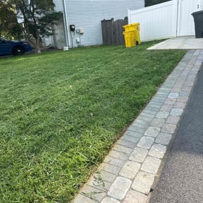 turf maintenance by Triple S Cuts & Cleanouts reviewed on September 20, 2023