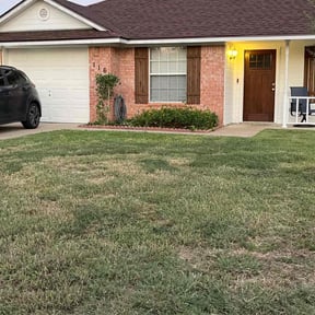 Bush Trimming by Part Time Hubby reviewed on November 23, 2025