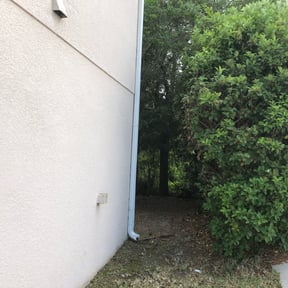 Bush Trimming by Rahman Services LLC reviewed on August 17, 2025