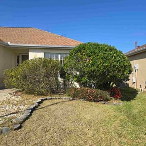 Bush Trimming by DH Hauling and Demo reviewed on January 8, 2026