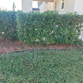 Flower Bed Weeding by Country Boy Mikey's Lawn Care reviewed on October 23, 2025