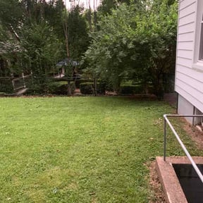 Bush Trimming by The Other Side Lawn Care reviewed on July 20, 2026