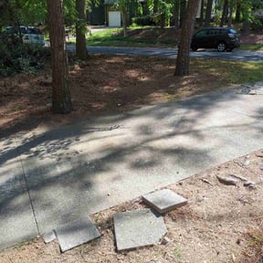 Leaf Removal by TwalightScaping reviewed on October 3, 2025