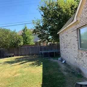 Bush Trimming by Lawn and Labor Services reviewed on August 19, 2025