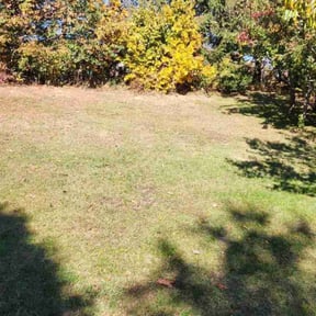 Leaf Removal by Raul&#039;s Lawn Care and Design  reviewed on November 10, 2025