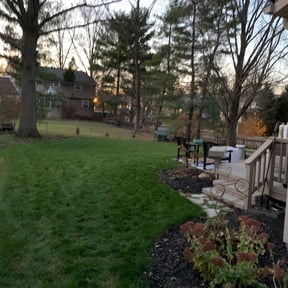 Leaf Removal by Lawn Love reviewed on September 26, 2025