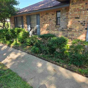 Bush Trimming by Acheys landscaping LLC reviewed on November 26, 2025